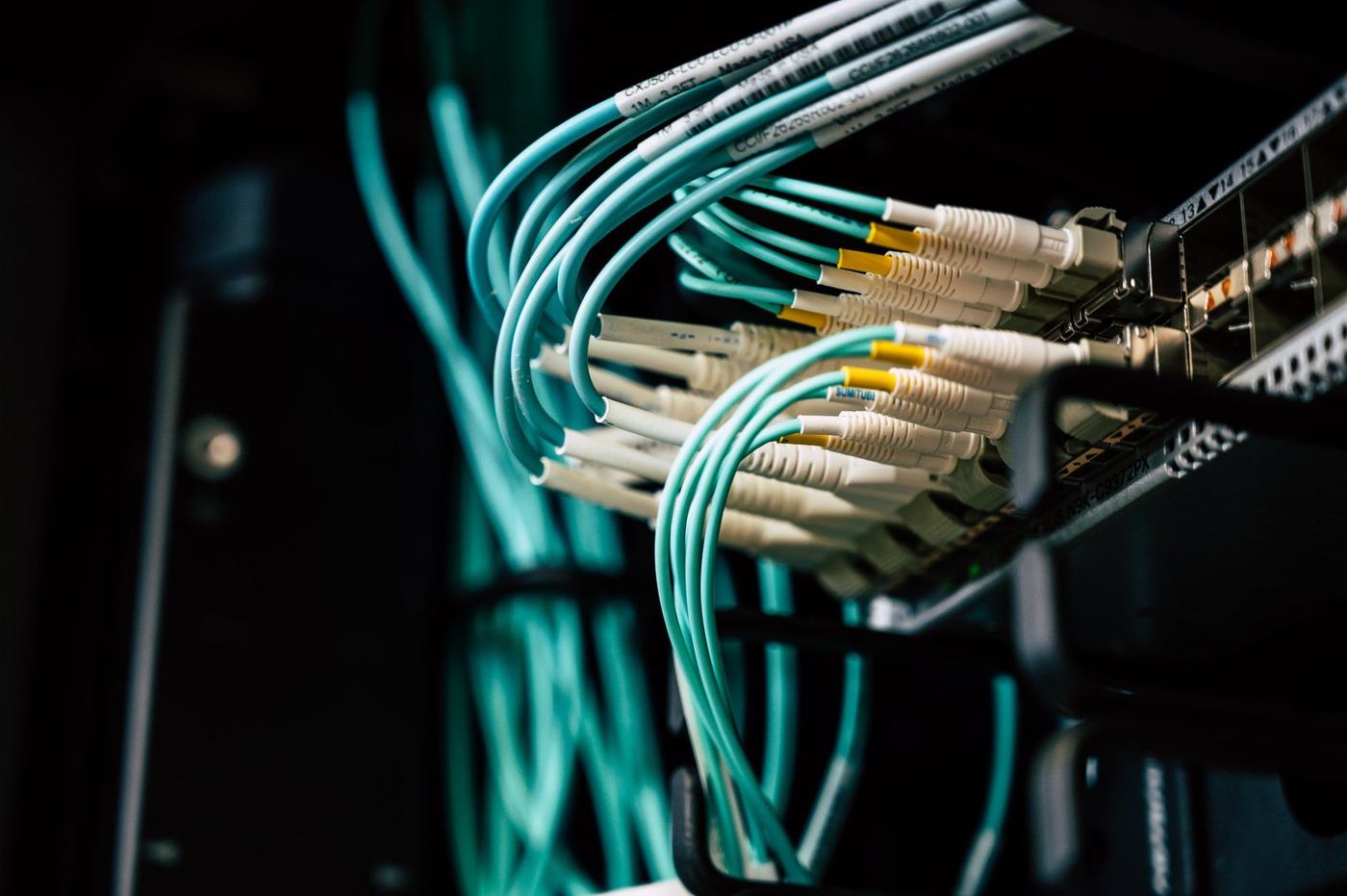 Network cables connected to a server in a server room